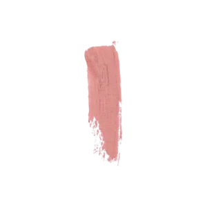 ליפגלוס עמיד מאט MATTE LIPGLOSS | גוון: 208 | עדה לזורגן Adah Lazorgan