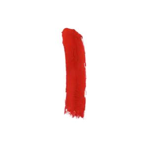 ליפגלוס עמיד מאט MATTE LIPGLOSS | גוון: 209 | עדה לזורגן Adah Lazorgan