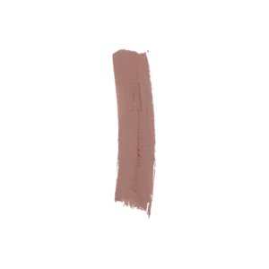 ליפגלוס עמיד מאט MATTE LIPGLOSS | גוון: 211 | עדה לזורגן Adah Lazorgan