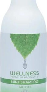 שמפו מנטה לניקוי קרקפת יסודי WELLNESS 500ML