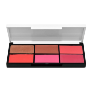 image-137-700x700-1.png פלטת אודמים קיץ LIPSTICK PALETTE | עדה לזורגן Adah Lazorgan